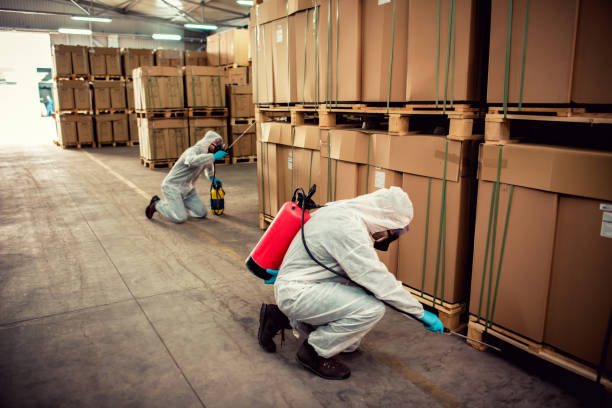 Best Cockroach Control Services  in Bonsall, CA