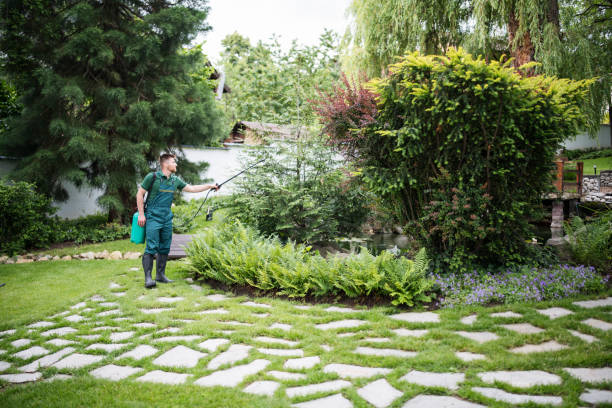 Best Ant Control Services  in Bonsall, CA