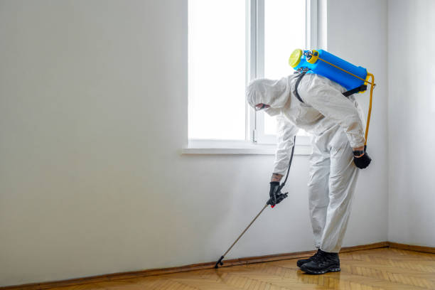 Best Best Pest Control Companies  in Bonsall, CA