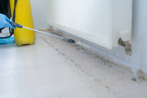 Best Best Pest Control Companies  in Bonsall, CA